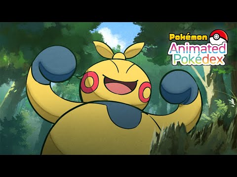 Pokemon TCG News