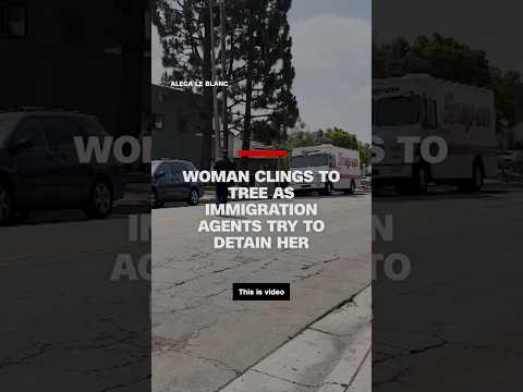 Video shows woman clinging to tree as immigration agents try to detain her