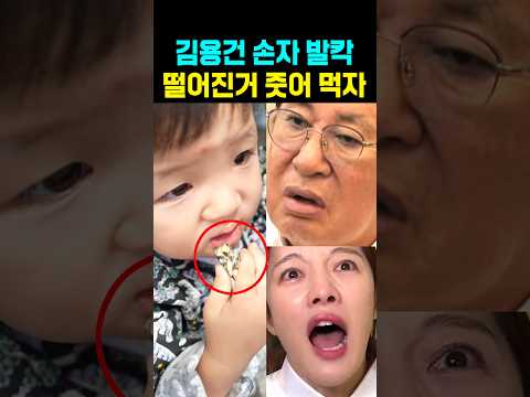 <strong>김용건</strong> 손자 돌연 떨어진거 줏어 먹자 발칵