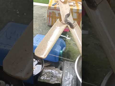 Ang galing naman ng isda #video #trending #funny #fyp #viral