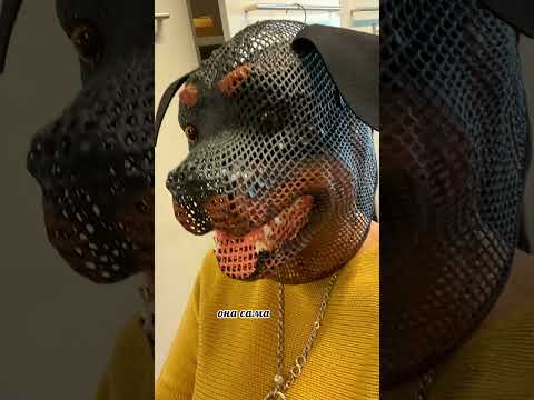 УКУС-ная философия мудрой женщины (вслух 😉)#австрия #любовь #отношения #русскиевевропе