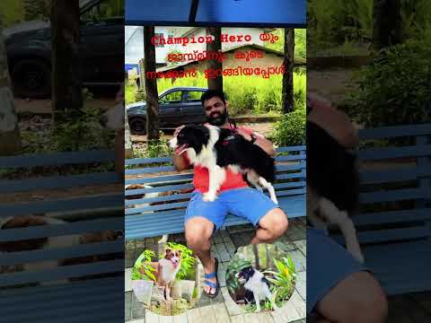 ചാമ്പ്യൻ ഹീറോയും ഇംപോർട്ട് ജാസ്മിനും നടക്കാൻ പോയപ്പോൾ 😍❤️😍🔥