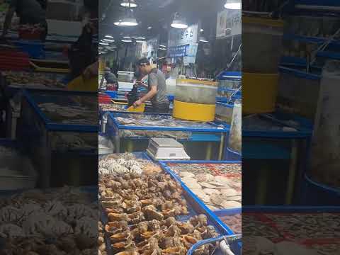 마포 도매시장인데 ... 직송 수산물도 다양하네요 !!! Various K-seafoods !!! #재래시장 #koreanstreetfood