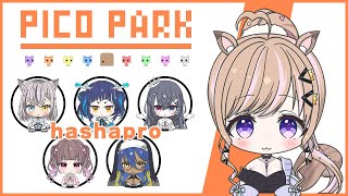 【#はしゃぷろコラボ】仲良く協力！PICOPARK！【芽森つむぎ/Vtuber】