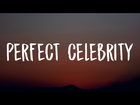 Lady Gaga - Perfect Celebrity (Lyrics)