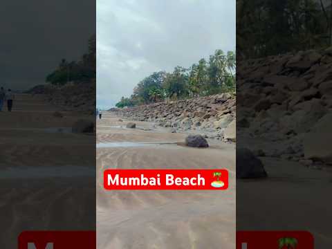 Weekend Beach 🏖️ #shorts #trending #travel