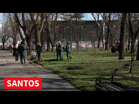 RADOVI U KARAĐORĐEVOM PARKU