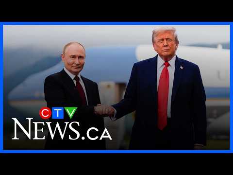 Putin ‘seems to <strong>have</strong> control <strong>over</strong> Trump’ as continued attacks undermine ceasefire