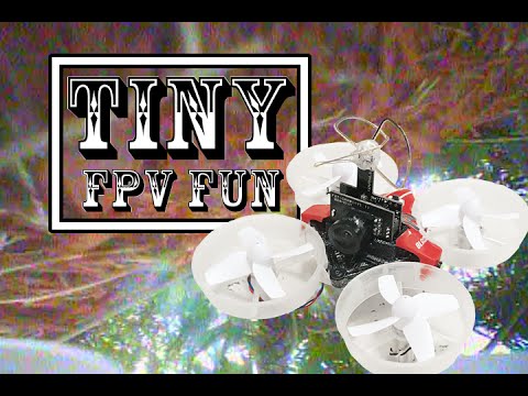 Tiny FPV Fun in the Yard - Blade Inductrix - Tiny Whoop - UCkPckS_06G1eNNPKyyfbUGQ
