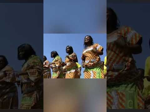 Akinimaya des Plateaux - Confirmation