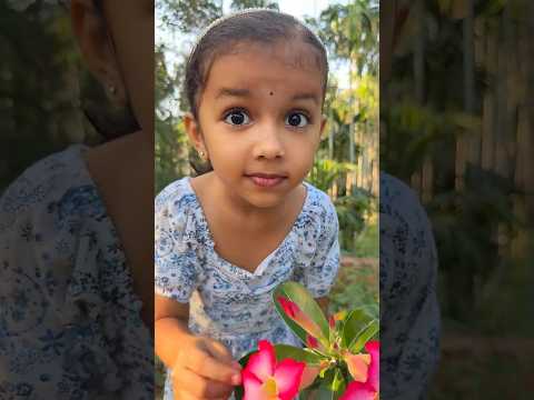 Tom&Jerry🥰Real End Twist ❤️#shorts #shortvideo #krishnaavyu