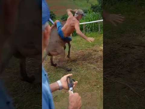 Aow Sr Dego segura que do chão nao passa 🤠🤠🤠