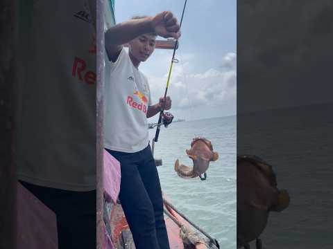 What’s fish 🐠 #smallfish #shortvideo #trending #reels #cooking #fishing #viralvideo #video