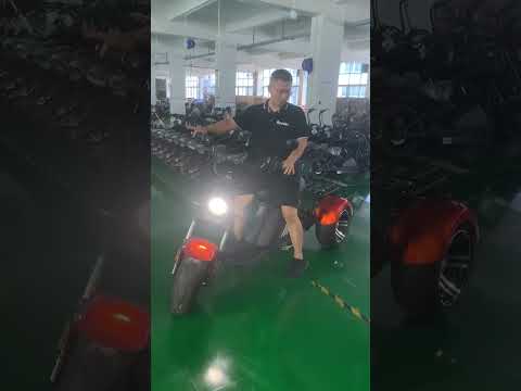 E-Roller - Bone Multi Purpose Fabric #rooder #electric #scooter #factory