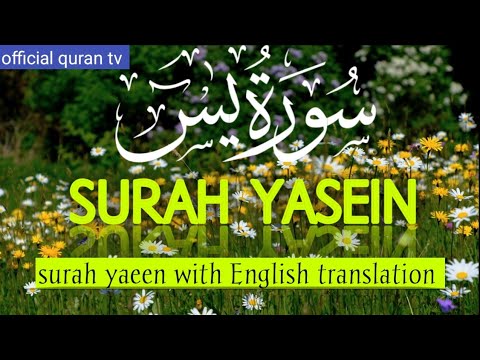 surah yaseen surah rahman surah waqiah surah mulk