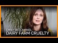 Emily Deschanel Reveals Shocking Dairy Farm Cruelty