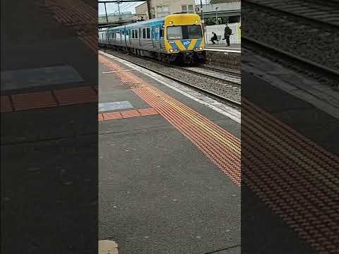 Comeng Train at Newport