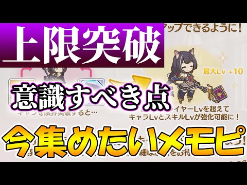 【プリコネR】キャラ限界突破で意識する点とレベル上限解放優先度解説【レベル上限突破】