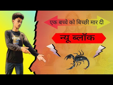 Ak ladaka ko bichhu mar diya😥||my first vlog is sad||new vlog!