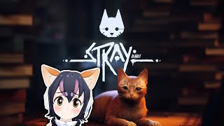 【Stray】こんばんは、今日もフンボルトネコです🐈🐧【#フンボルトペンギンちゃんねる／#けもV】