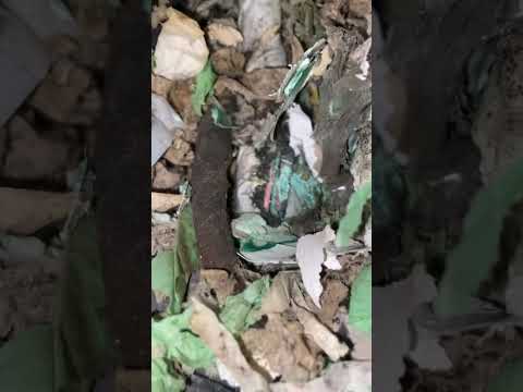 Chrysler Pacifica power windows not working