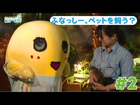 【オービィ横浜】ふなっしー、ペットを飼う? #2【ミーアキャット】