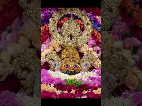 shyam ka rang chadh gaya🙏🙏 #youtubeshorts #khatushyam #khatu #shyambaba