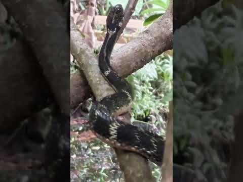 ズンズンズンとはいあがる(文字なし)