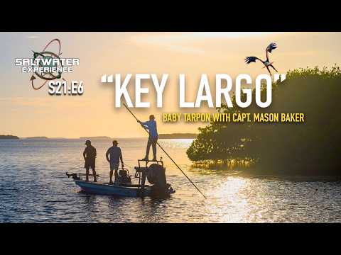 Winter Surprise: Finding Aggressive Baby Tarpon in the Everglades || Saltwater Experience [S21:E6]