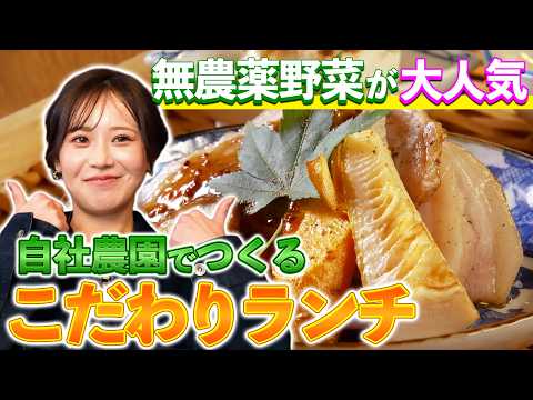 【いなべ市】りほやんが行く！話題の「新上木食堂」で地元食材ランチを堪能！【りほやんの三重WALK】