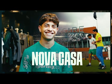 image para ilustrar o artigo