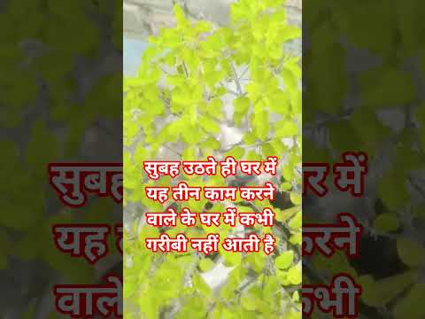 सुबह उठते ही जो तीन काम करने वाले के घर में कभी गरीबी नहीं आती है #motivation #motivational