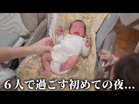 【６人家族】ツリーを飾りながら、子供たちの夢がYoutuberだと知った夜...