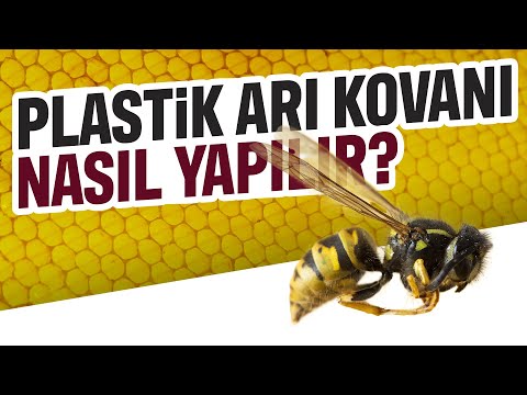 Dünyanın İlk Plastik Arı Kovanı Türkiye'den!