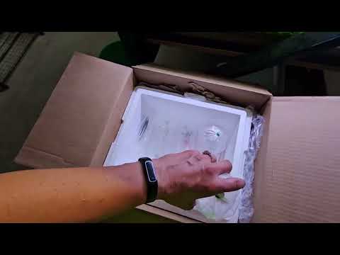 UNBOXING from Mr. Bare Bottom Branton! @brantonlig Unboxing least killifish, ocean blue shrimp, bloody mary shrimp, female apistogramma borelli opal,  