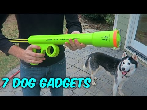 7 Dog Gadgets Put to the Test - UCe_vXdMrHHseZ_esYUskSBw