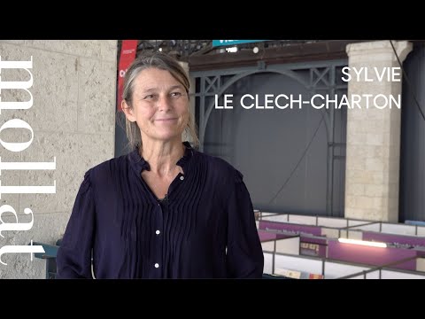 Vido de Sylvie Le Clech