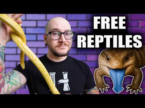 I Got All These Reptiles FOR FREE! You Can Too! I got DOZENS of animals FOR FREE! Here are their stories and how you can too! If You're looking for 