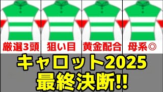 【2025年度募集】キャロットクラブで出資するならこの3頭!!【一口馬主】
