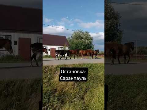 #КрайнийСевер #Урал #посёлок Саранпауль