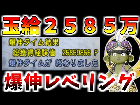 【ドラクエ10】玉給2580万！？バージョン7.3の「爆伸丸＆修練の心得レベリング」の効率がヤバすぎるｗｗｗ【特急メタル招待券】