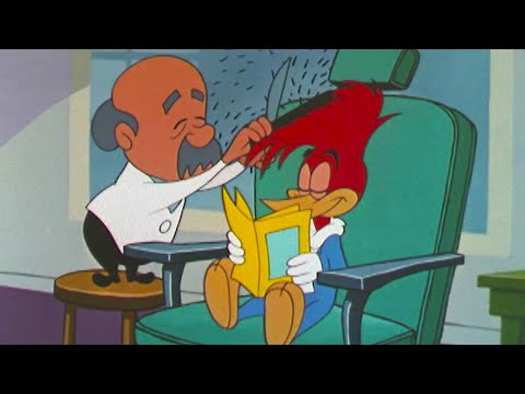 Woody Gets a Fresh Trim! | Woody Woodpecker