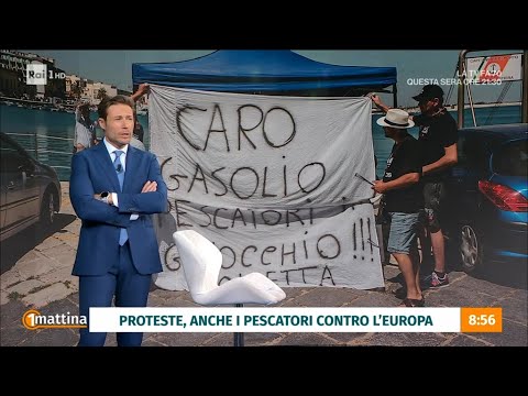 Le proteste dei pescatori - Unomattina - 28/02/2024