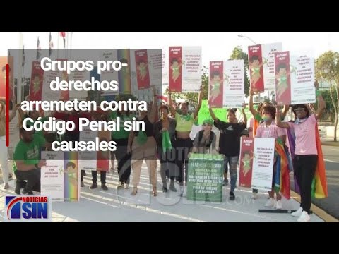 Grupos pro-derechos arremeten contra Código Penal sin causales