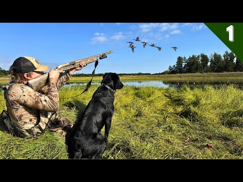 Opening Day TEAL HUNTING | Exploring Public Land In A NEW STATE