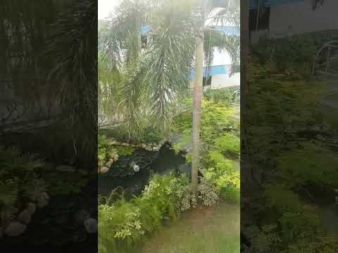 সেজদায় নত হও অশ্রু ছারো | New Gojol | 2023 | Mizanur rahman azhari | #mizanur_rahman_azhari #gojol