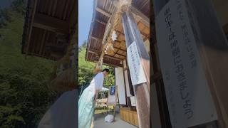 朝陽とともに⛩️宮司の清らかな参拝ルーティン#神社 #スピリチュアル #shorts