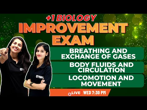 +1 Biology Improvement Exam | Breathing and Exchange of Gases/Body Fluids /Locomotion and Movement