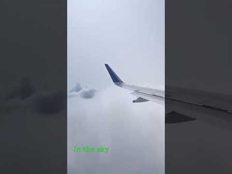In the Sky 🌌 #plain #viral #fypシ #tranding #nature #viralvideos #trending #viralvideo #viralshorts