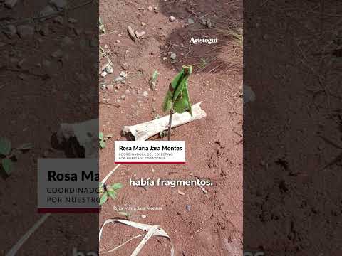'Movías la maleza y salía un huesito', dice buscadora sobre sitio de exterminio en Nayarit